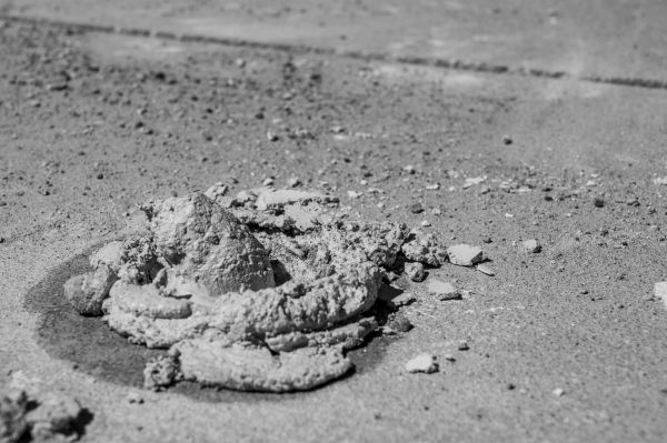 Cost of Driveway Slab Raising in Orange Park