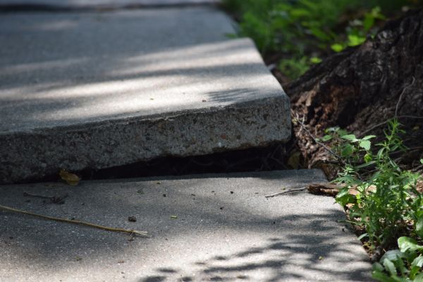 Concrete Slab Leveling Service